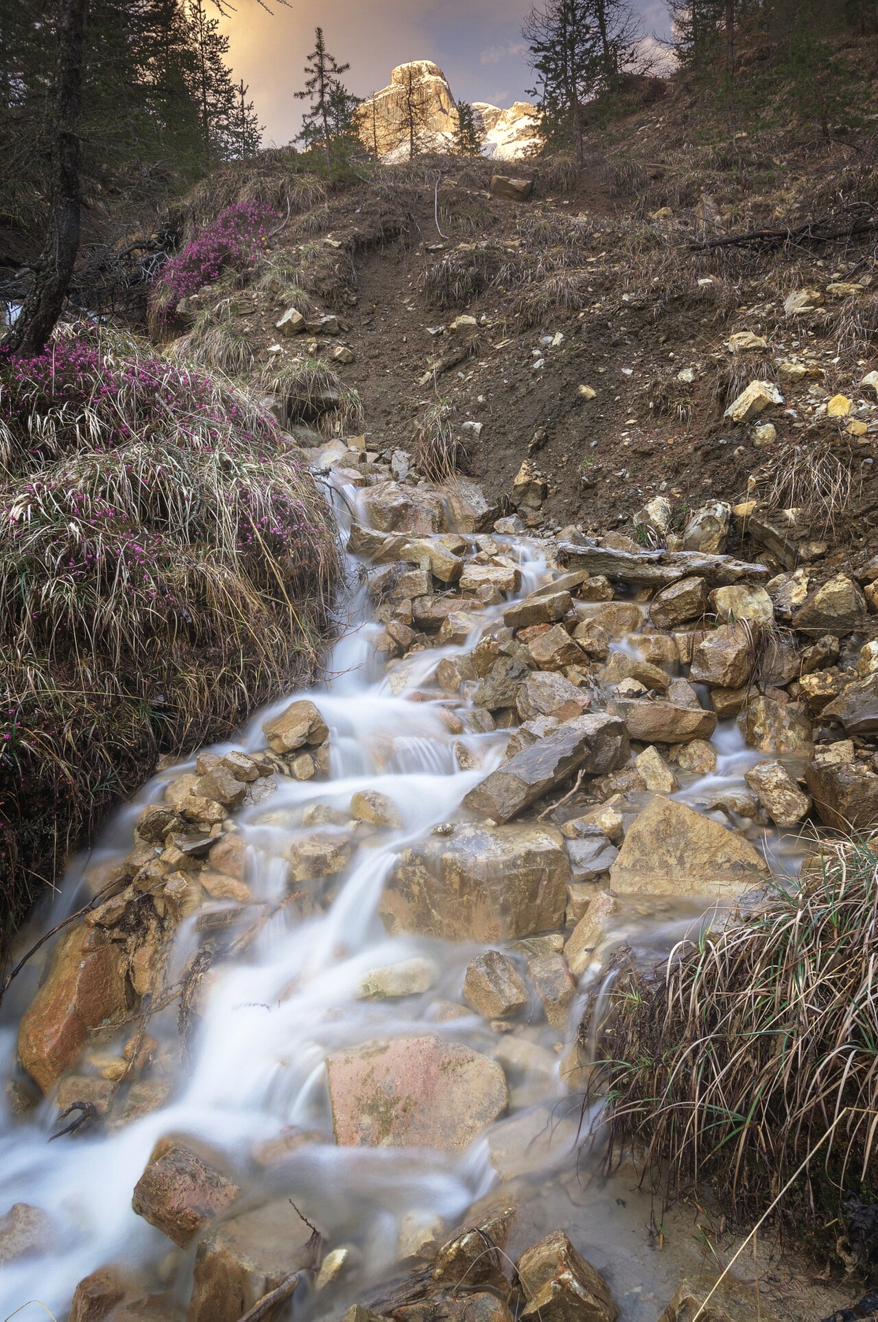 식후 15~20분 산책이 시간도 벌고 소화도 돕습니다 · 사진: Wikimedia Commons (CC BY 3.0)