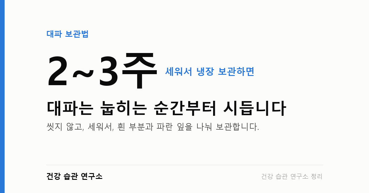 대파는 눕히면 무릅니다 — 한 단을 끝까지 쓰는 보관법